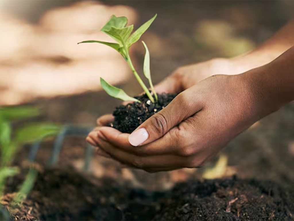 Sustentabilidade